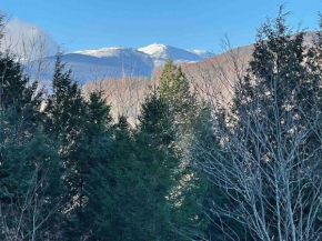 Stunning Mountain Views, near Storyland, hiking trails Jackson